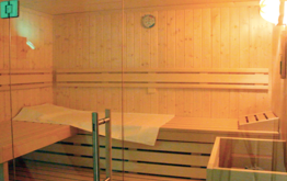 Schöne und moderne Sauna mit Glasfront in Ihrer Ferienwohnung auf Sylt